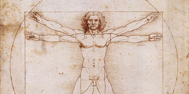 da vinci human form