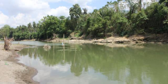 The Walanae River at Paroto, about a mile (2 km) east of Talepu.