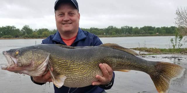 The walleye, which was about 33-inches long, broke the state record set in 1959.