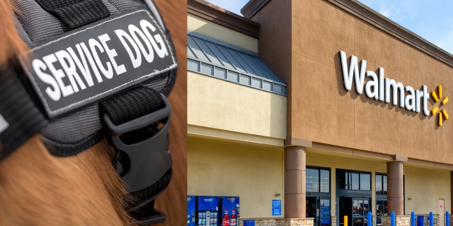 Walmart has apologized to a customer who claimed an employee harassed her about her service dog.