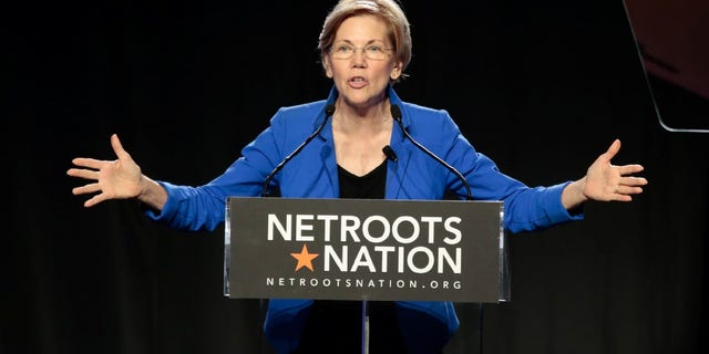 Senator Elizabeth Warren (D-MA) addresses the audience at the morning plenary session at the Netroots Nation conference for political progressives in Atlanta, Georgia, U.S. August 12, 2017.