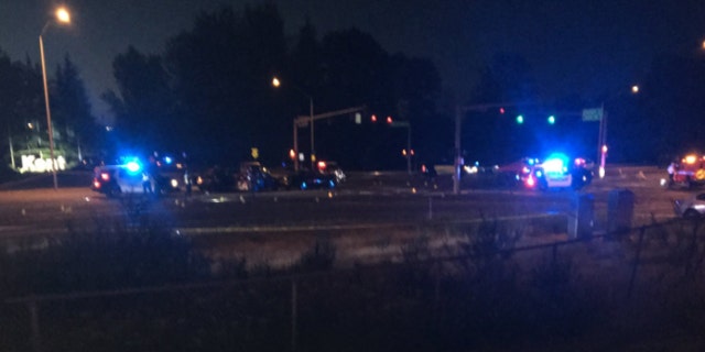 A police officer was killed after he was struck by a vehicle during a pursuit of a truck early Sunday, according to officials.