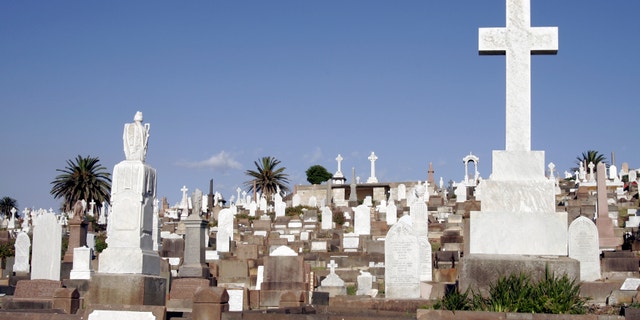 Old Large Cemetery With Many Graves and Gravestones During Daylight In Sydney Australia