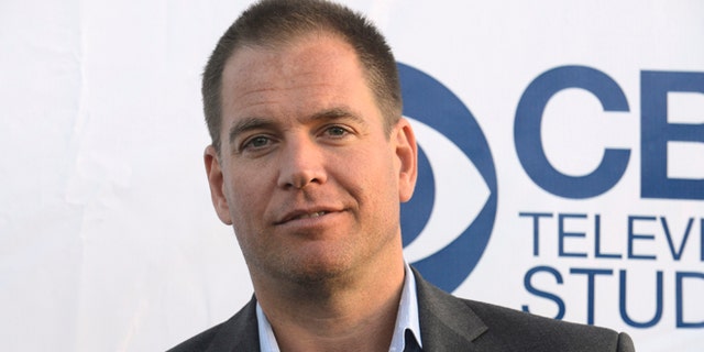 May 19, 2014. Michael Weatherly attends the CBS Television Studios "Summer Soiree" in West Hollywood.
