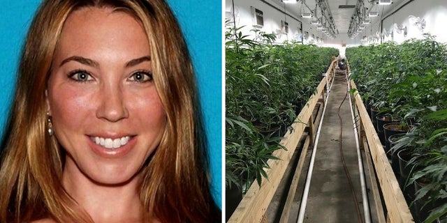 Stephanie Smith, 43, owned three properties that grew thousands of marijuana plants, police said.