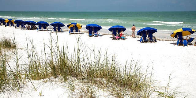 The beautiful white sandy beaches of Caladesi Island.