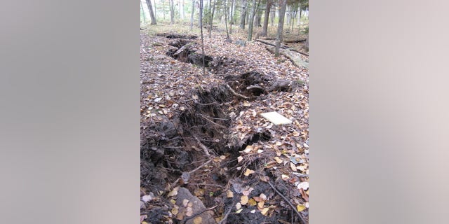 A long crack that popped up in a Michigan forest on Oct. 4, 2010, uprooted trees and caused others to tilt.