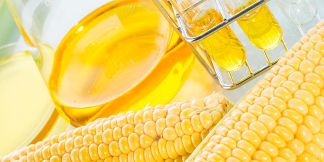 Biofuel or Corn Syrup, gasoline, energy, environmentalist