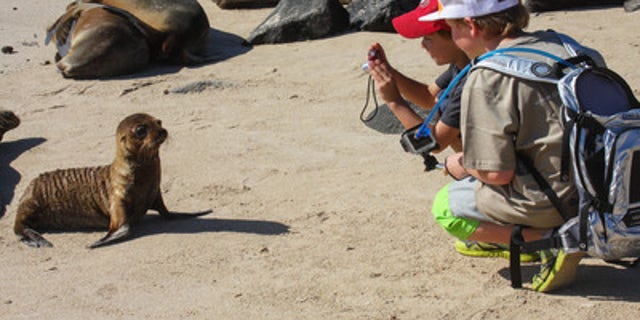 Taking pictures of the wildlife in the Galapagos Islands.
