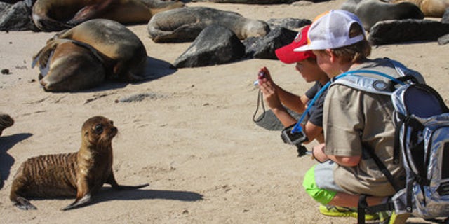 Taking pictures of the wildlife in the Galapagos Islands.