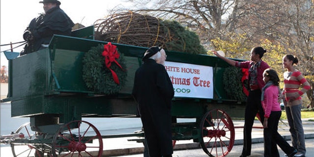 Nov. 27: First lady Michelle Obama, with daughters Sasha and Malia, receive the White House Christmas tree (AP Photo).