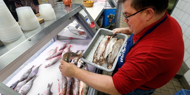 April 14, 2014: Kevin Dean, co-owner of Superior Fish Company, puts Whitefish out for sale in Royal Oak, Mich. Many fish markets in the Great Lakes region are running short of whitefish, and its coming at a bad time: Passover. The shortfall is yet another ripple effect of the bitterly cold winter that caused vast sections of the Great Lakes to freeze over. Dean said his latest shipment of Whitefish amounted to just 75 pounds although he requested 500. (AP/Paul Sancya)