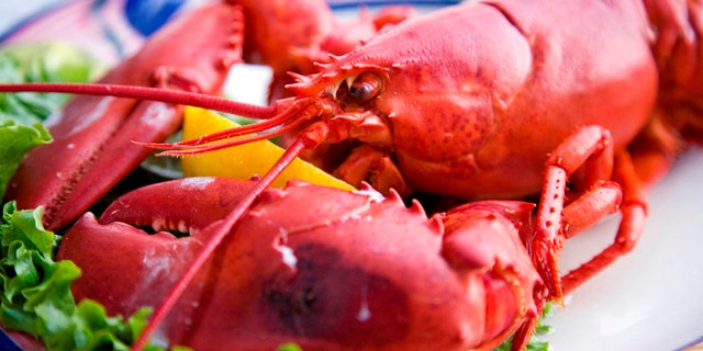 A lobster dinner with a wedge of lemon. Shallow DOF, focus on lobster's head.