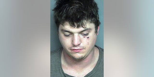William Dickinson, 25, allegedly touched two teen girls inappropriately at a wedding he crashed before getting punched in the face by the bride.