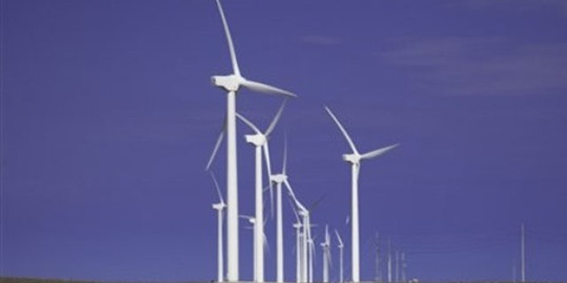 Cattle graze beneath turbines at a wind farm in Texas.