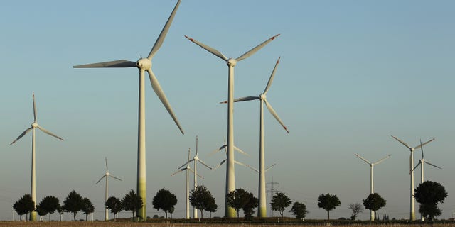 Wind turbines rotating to generate electricity in Rotgen near Bitterfeld, Germany, August 20, 2010.