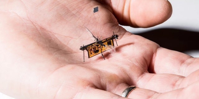 wireless robofly