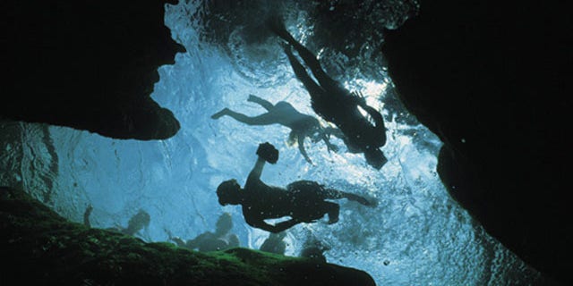 View from below of snorkelers on the surface of a spring in Wekiwa Springs State Park.
