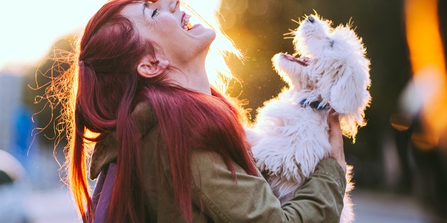 "Interactions with a dog might activate more attentional processes and elicit stronger emotional arousal than comparable nonliving stimuli."