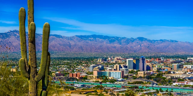 tucson skyline framed by saguaro cactus