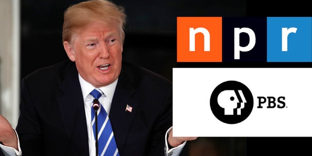 President Trump proposed cutting funding for PBS and NPR, but the suggestion faces long odds in Congress.