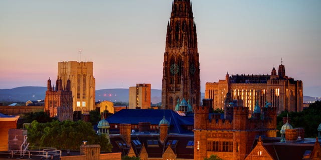 Yale University dean June Chu has since removed the offending Yelp reviews.
