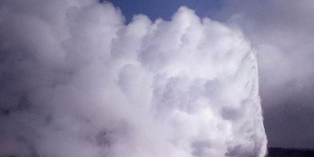 65e2b9fb-
