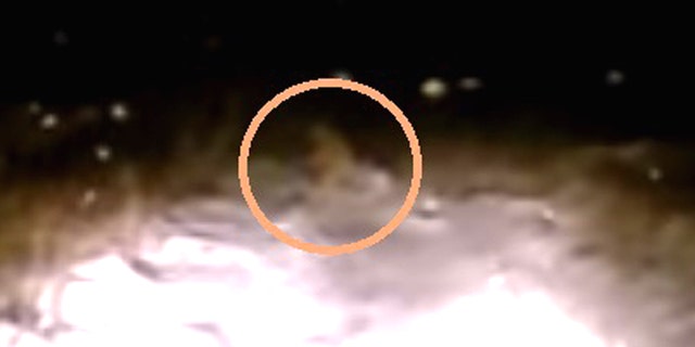 (Screenshot from video)