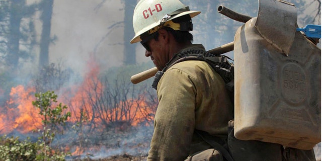 Aug. 30, 2013: A member of the Monterey Hotshots carries a gas can near a burn operation on the southern flank of the Rim Fire near Yosemite National Park in California.