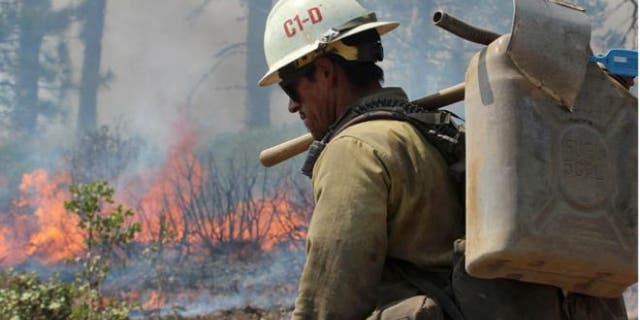 Aug. 30, 2013: A member of the Monterey Hotshots carries a gas can near a burn operation on the southern flank of the Rim Fire near Yosemite National Park in California.
