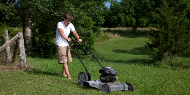 Make your life easier, and give that lawn mower a rest.