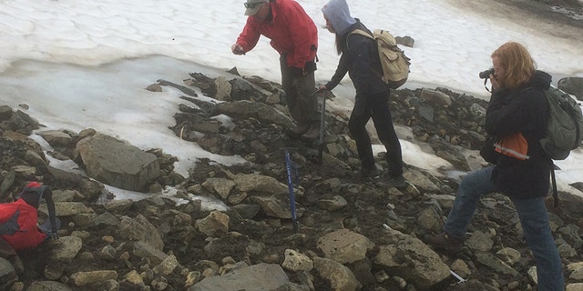 Yukon ice patch researchers (left to right - Greg Hare, Nahanni Dynes and Michael Campbell) examining a barbed antler point shortly after its discovery at the edge of a small Yukon ice patch. (Government of Yukon photo)