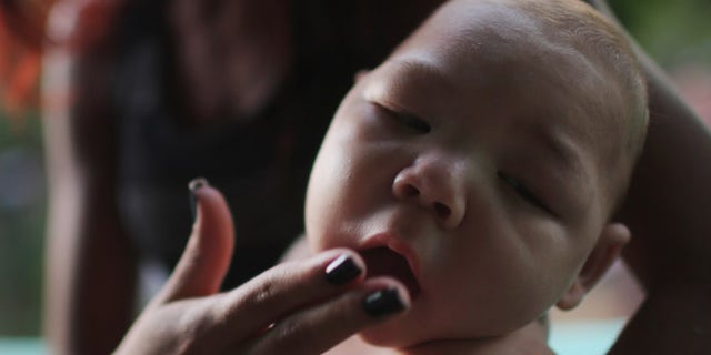 RECIFE, BRAZIL - JANUARY 25: Estafany Perreira holds her nephew David Henrique Ferreira, 5 months, who has microcephaly, on January 25, 2016 in Recife, Brazil. In the last four months, authorities have recorded close to 4,000 cases in Brazil in which the mosquito-borne Zika virus may have led to microcephaly in infants. Microcephaly results in newborns with abnormally small heads and is associated with various disorders including decreased brain development. According to the World Health Organization (WHO), the Zika virus outbreak is likely to further spread in South, Central and North America. At least twelve cases of Zika in the United States have now been confirmed by the CDC. (Photo by Mario Tama/Getty Images)