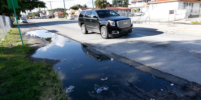 zika_miami_standing_water_ap