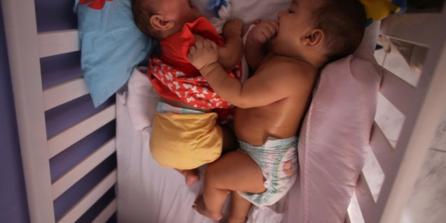Five-month-old twins, Laura (L) and Lucas lie in their bed at their house in Santos, Sao Paulo state, Brazil April 20, 2016.