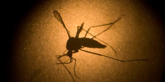 Aruba and Bonaire are two Caribbean islands that have been added to Zika travel alert.