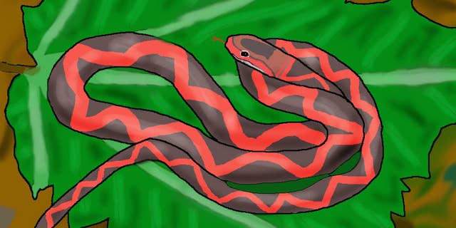 The newly identified snake species, <em>Zilantophis schuberti</em>, lived about 5 million years ago and bore broad wing-shaped projections on the sides of its vertebrae.