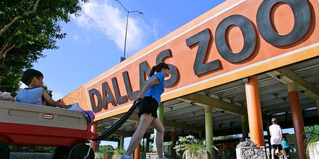 Dallas privatized the operation of its zoo, shown here. (AP Photo)