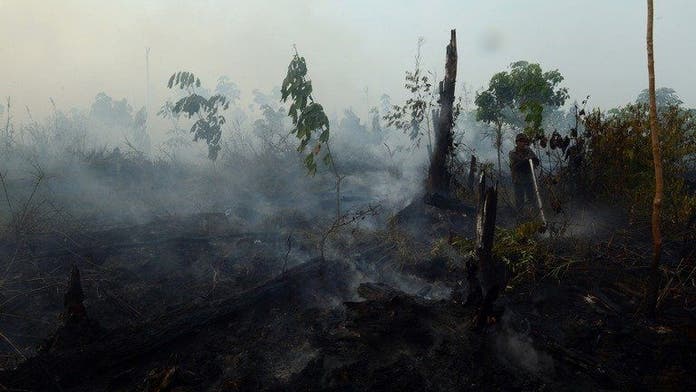 Slash-and-burn a way of life on Indonesia's Sumatra | Fox News