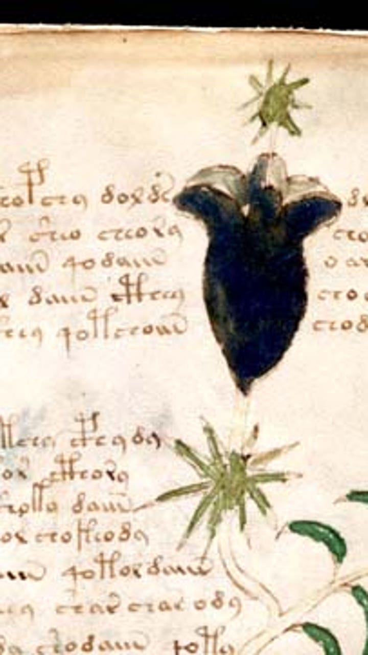Voynich manuscript mystery continues as experts question
