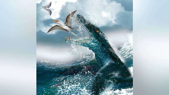 Fox News Flash top headlines for Oct. 31