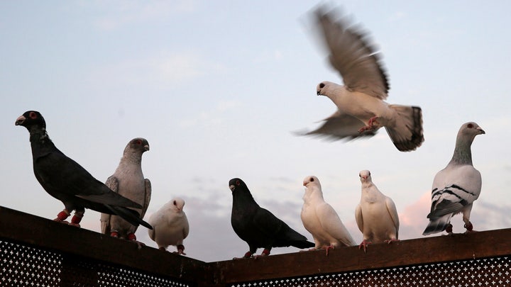 Fox News Flash top headlines for Oct. 7