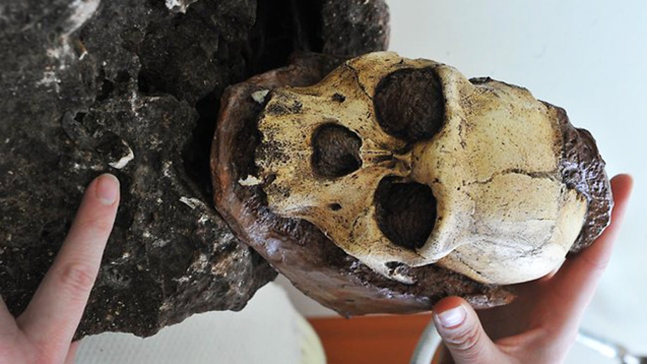 1.9-million year old fossil of human ancestor found in South African