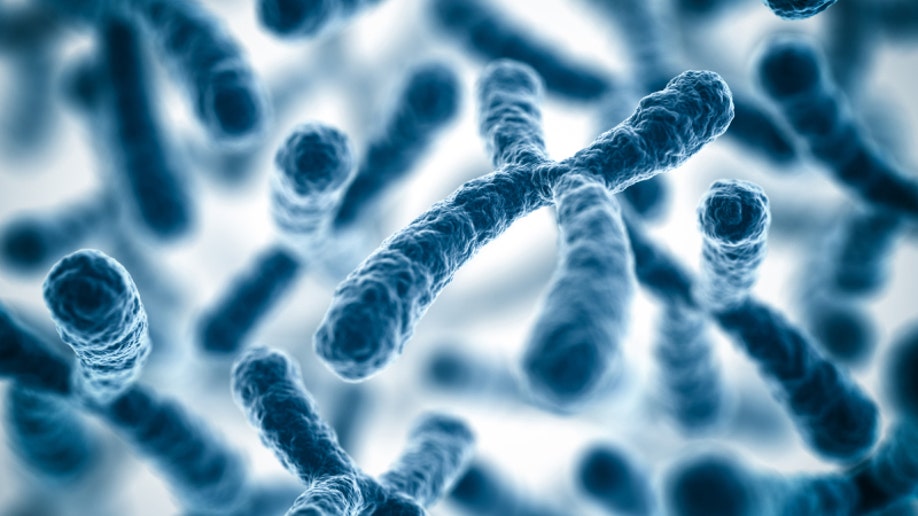 Scientists find way to silence extra chromosome that causes Down
