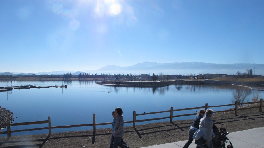 f087b562-Nevada Marina-Dead Fish