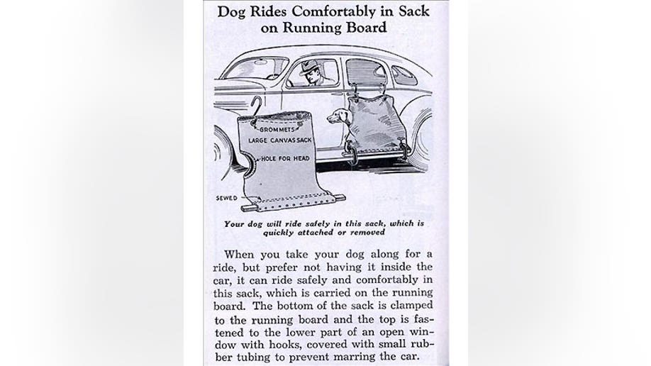 Top 10 Dumbest Inventions Fox News Whether it's a bra that turns into a putting green, a potty bowl that comes with an ipad attachment or the usb pet rock that does absolutely nothing at all. top 10 dumbest inventions fox news