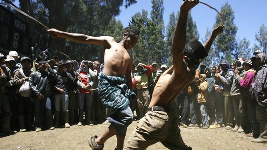 Fight or Flight