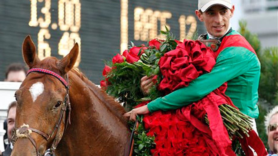 John Velazquez Rides Animal Kingdom to Kentucky Derby Win