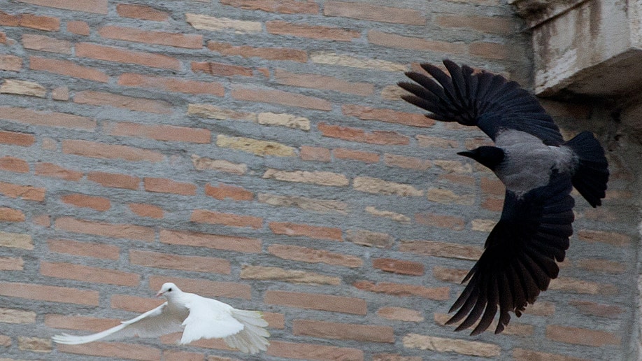 Vatican Pope's  Doves Attacked