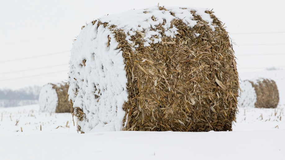 6d14deac-Drought Not Enough Snow